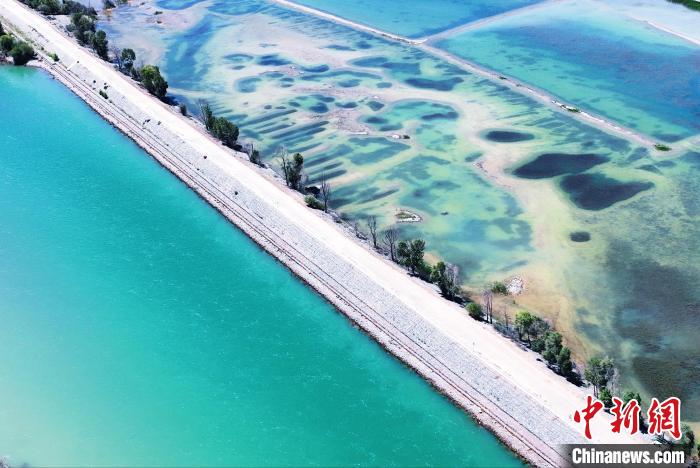 航拍貴德縣黃河。　馬銘言 攝