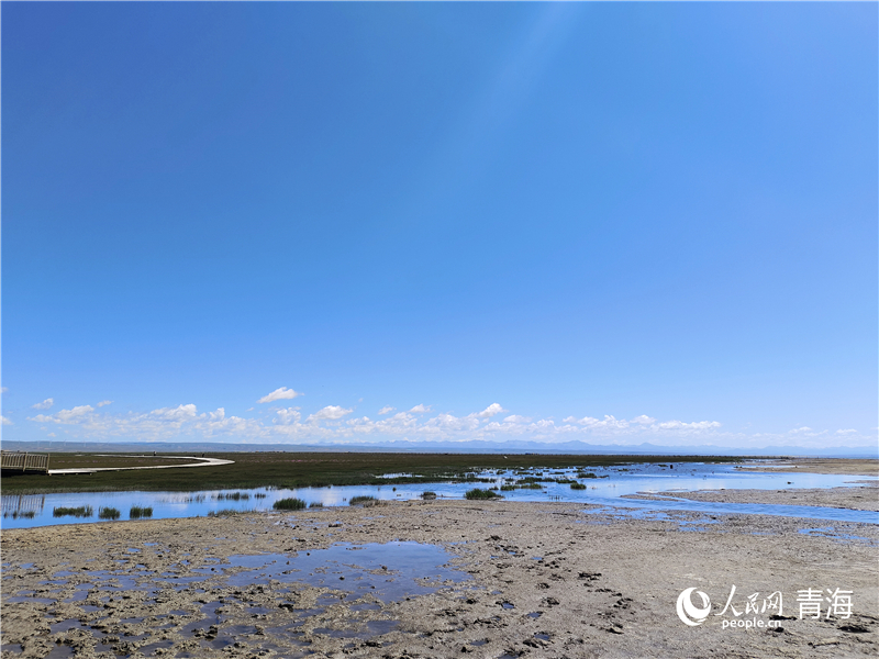   青海湖仙女灣。人民網(wǎng) 張莉萍攝