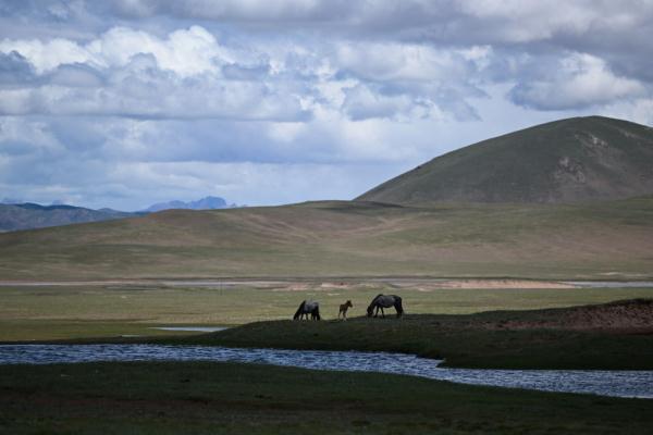唐古拉山腳下，聽牧民講述長江源生活變遷