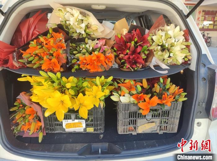 剛剛采摘下來的百合花。　壤塘縣委宣傳部供圖