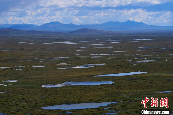 圖為查旦濕地?！●R銘言 攝