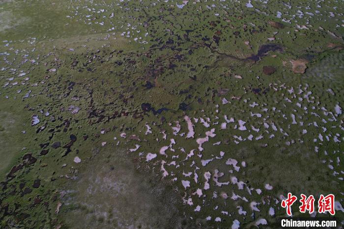 航拍查旦濕地?！●R銘言 攝