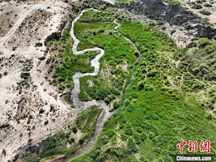 圖為航拍都蘭湖國家濕地公園綠意盎然?！∑钤鲚?攝