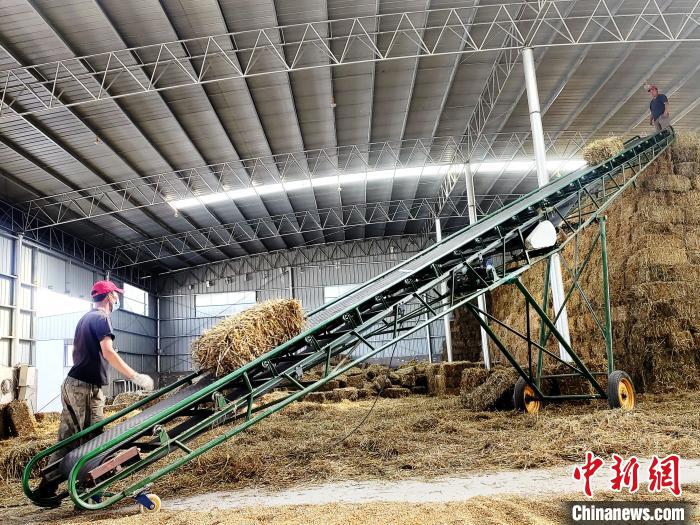 圖為飼草打捆、儲(chǔ)存?！●R芝芬 攝