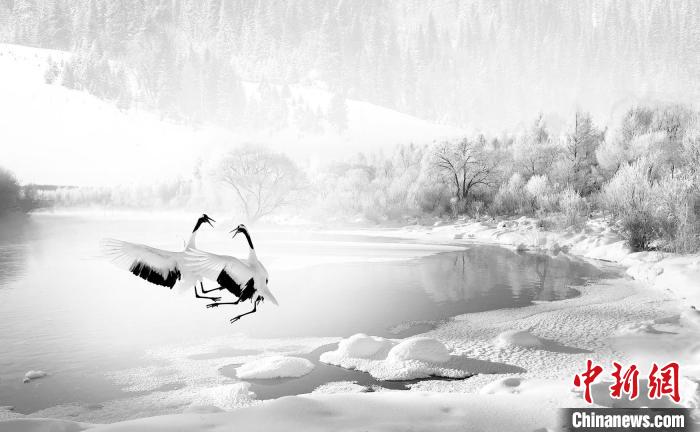 圖為焦生福的作品《鶴嬉雪林》。　青海省祁連山自然保護協(xié)會供圖