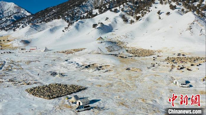 圖為無人機航拍牧場?！《继m縣融媒體中心供圖