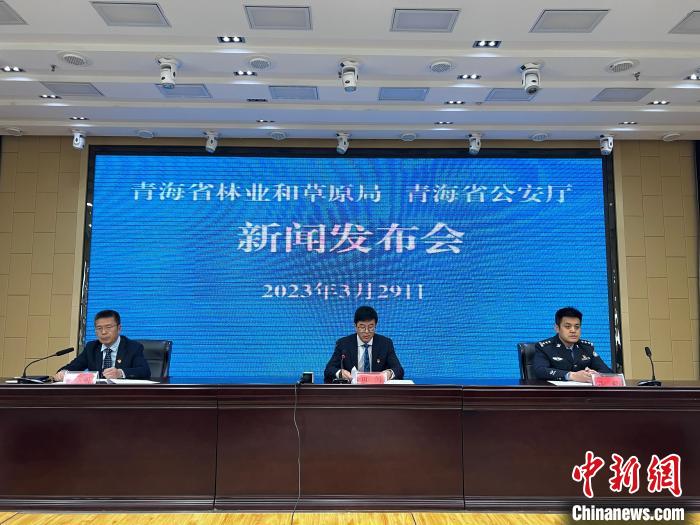 青海去年占用林地、草地準(zhǔn)予許可件同比實(shí)現(xiàn)“雙減”