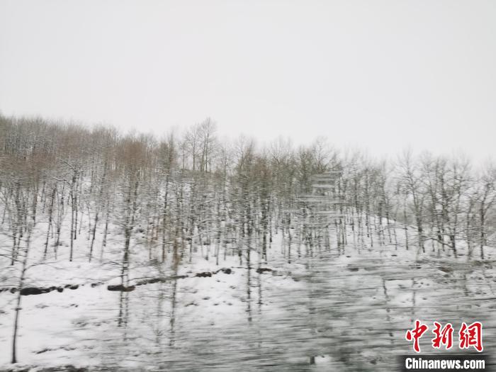 圖為青海青沙山區(qū)域被降雪覆蓋?！?zhí)砀?攝