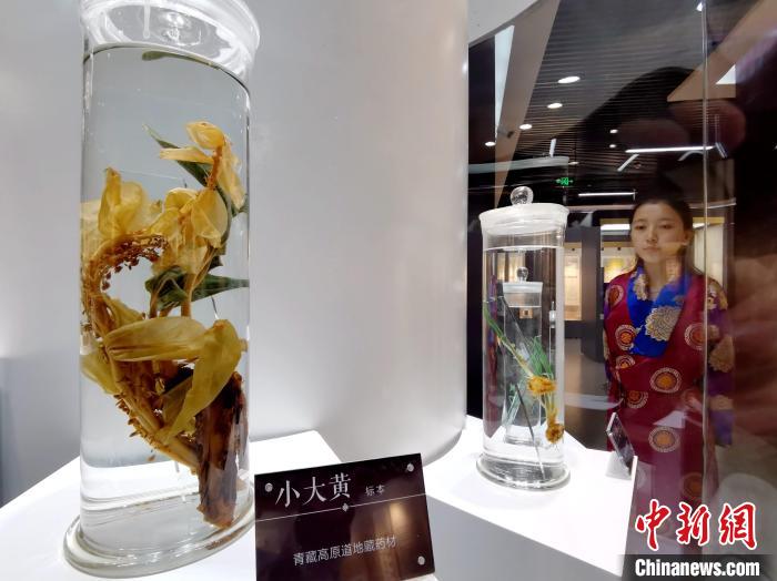 青海中藏醫(yī)藥發(fā)展提速：建設(shè)一批重點(diǎn)?？茖W(xué)科，推廣一批適宜技術(shù)