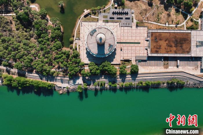 航拍青海貴德黃河岸畔綠意濃濃?！≮w凜松 攝