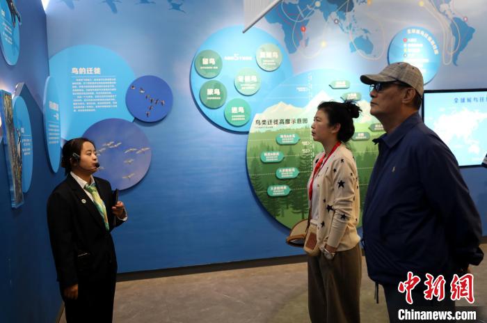 圖為臺商在祁連山國家公園生態(tài)科普館內(nèi)聆聽講解?！⊙Φ?攝