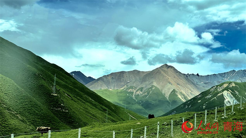 果洛風光。人民網(wǎng) 劉沛然攝