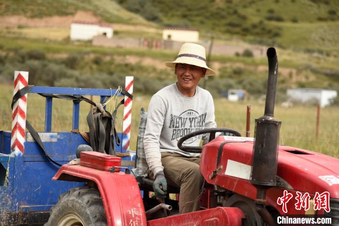 青海囊謙：喜迎秋收，又是一年“豐”景