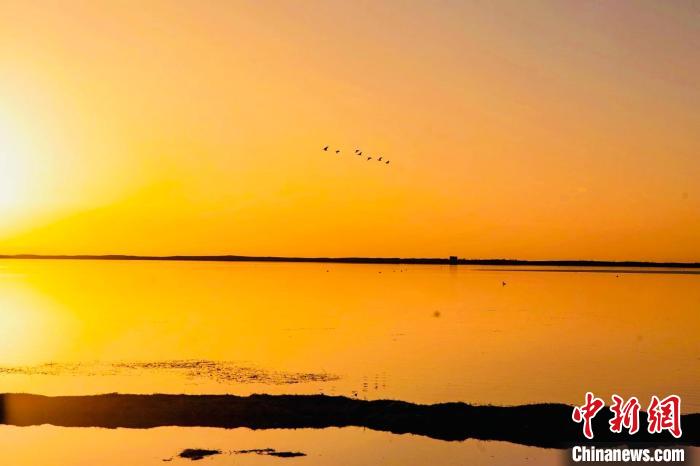 高原“藍寶石”:晚春喚醒的醉人畫卷