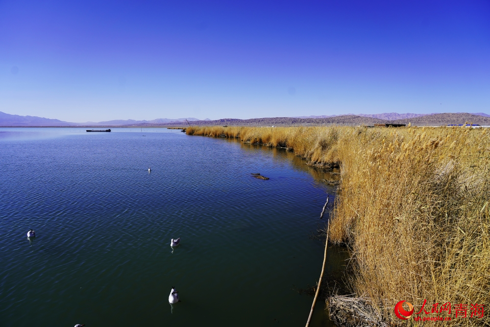 可魯克湖秋色如畫。人民網(wǎng) 陳明菊攝