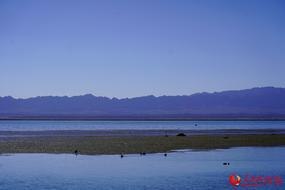 安靜的可魯克湖。人民網(wǎng) 陳明菊攝
