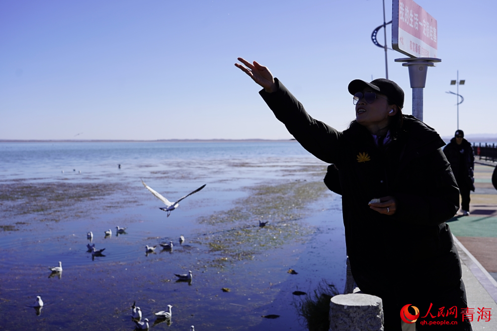 游客投喂水鳥。人民網(wǎng) 陳明菊攝