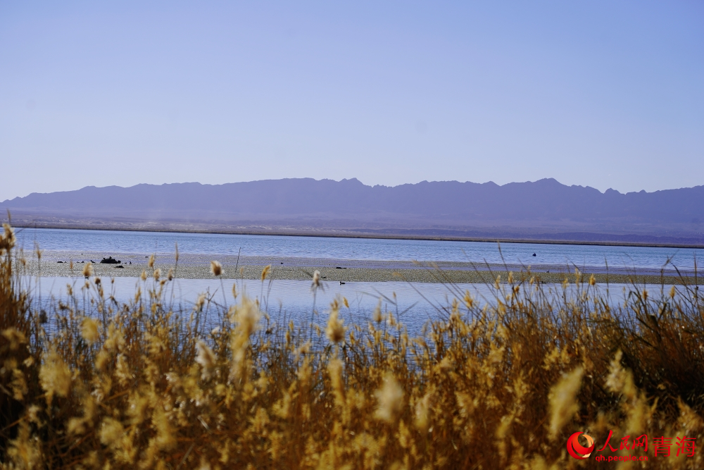 可魯克湖秋色如畫。人民網(wǎng) 陳明菊攝