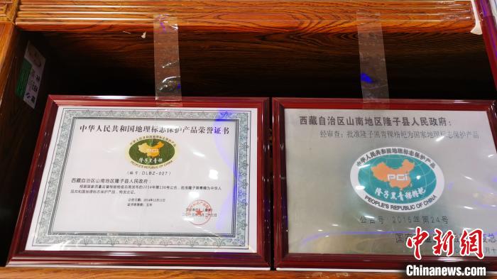 圖為2015年，隆子黑青稞成為中國國家地理標(biāo)志保護(hù)產(chǎn)品?！垈?攝