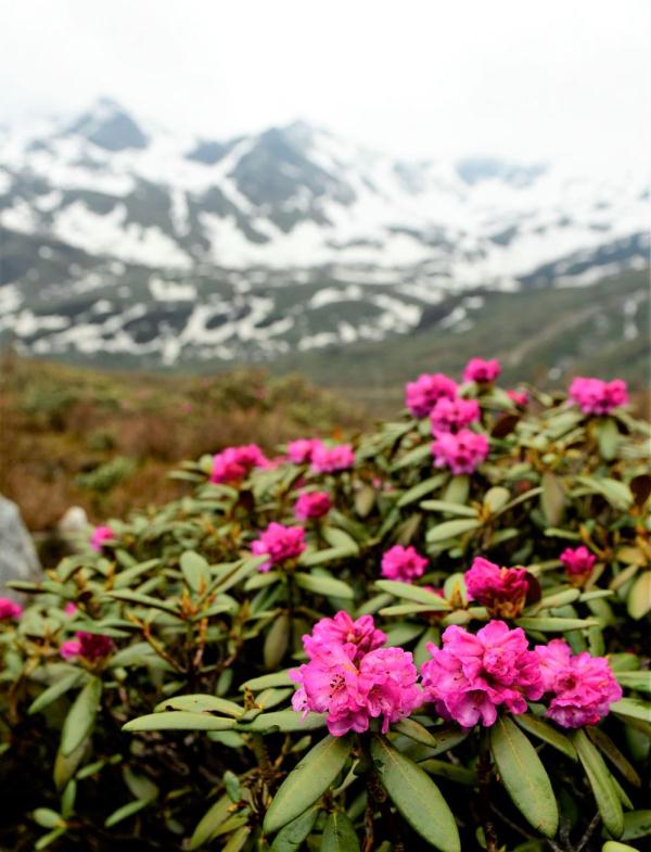 跟我，踏上最美“景觀大道”