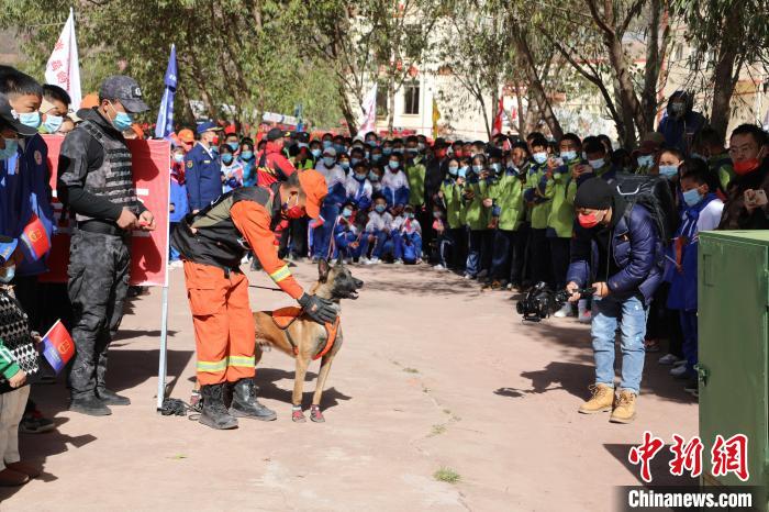 圖為搜救犬服從和箱體搜救演練?！≮w琳 攝