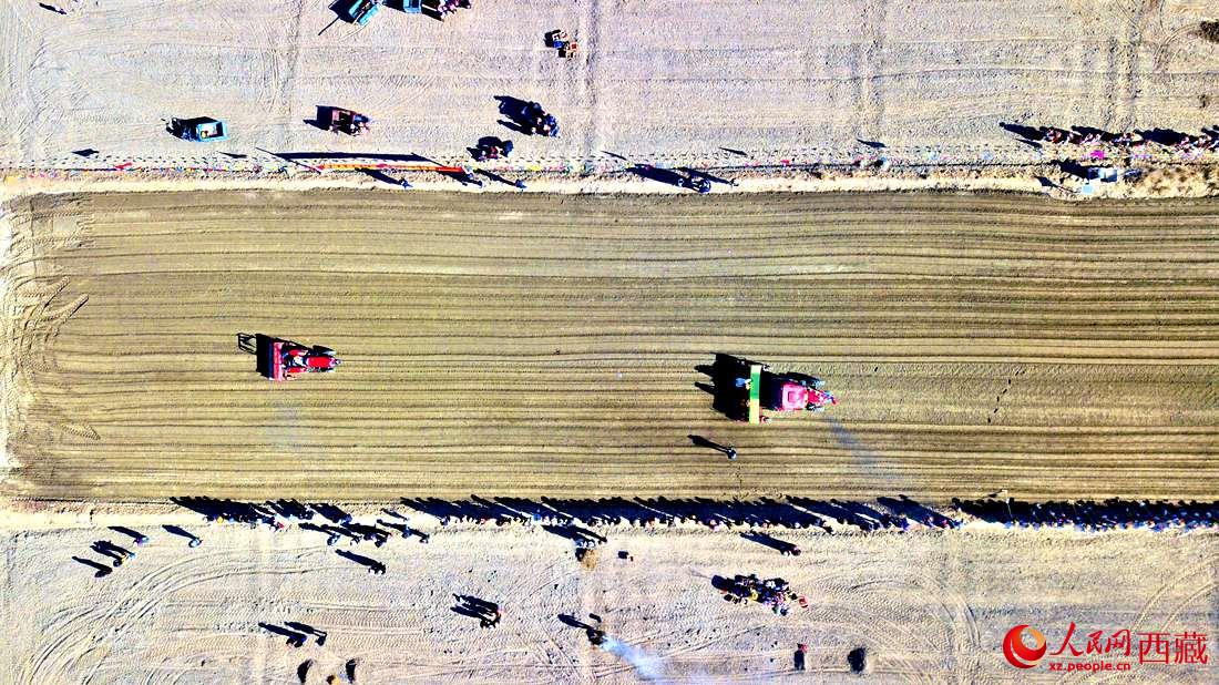 山南市扎囊縣扎其鄉(xiāng)孟卡榮村迎來春耕第一犁。人民網(wǎng) 次仁羅布攝
