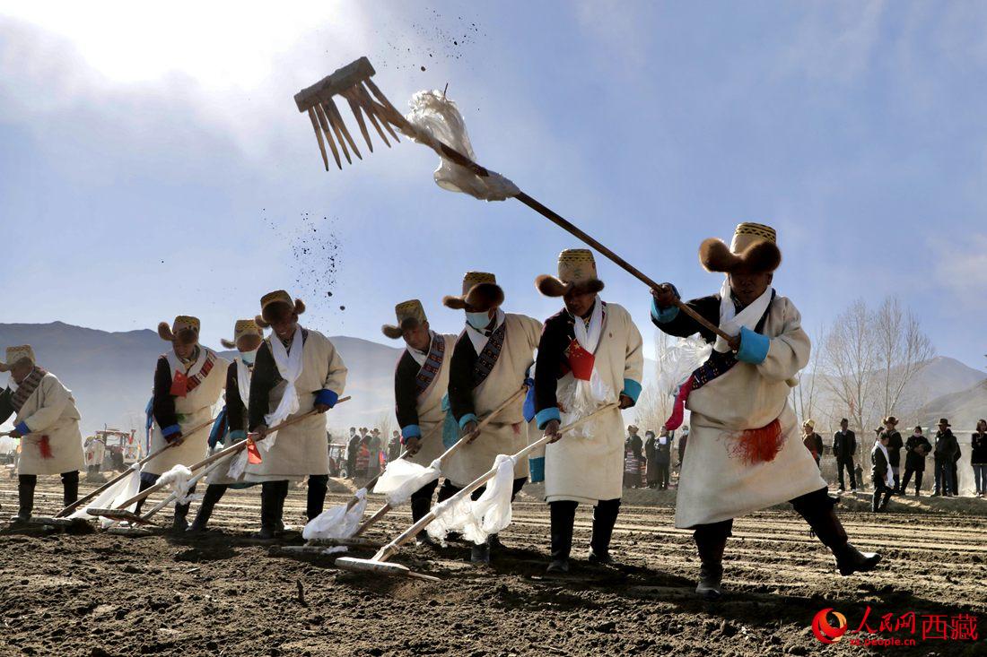 當(dāng)?shù)卮迕裆碇?jié)日盛裝，舉行春耕儀式。人民網(wǎng) 次仁羅布攝