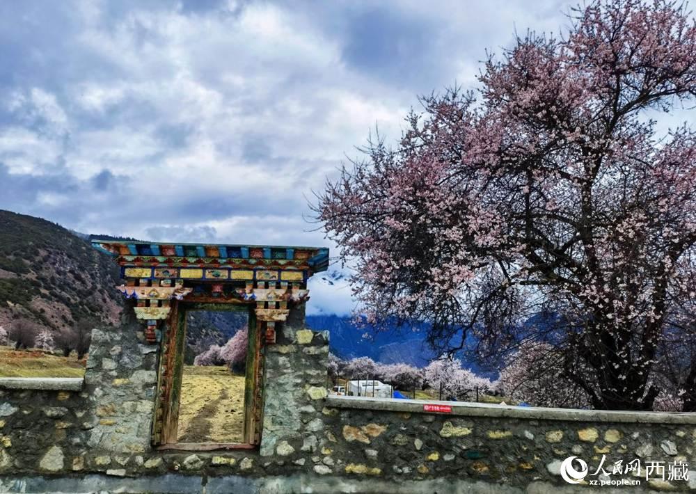 桃花下的藏式民居。人民網(wǎng) 李海霞攝