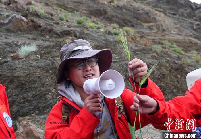 青藏科考：青稞如何走上青藏高原？