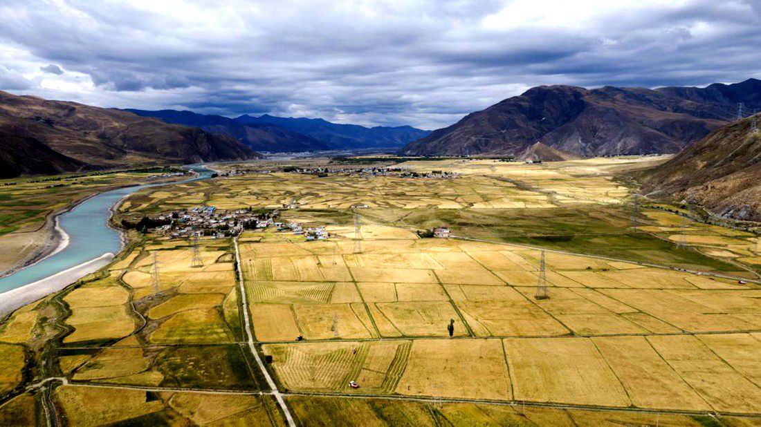 等待豐收的田野。洛克攝