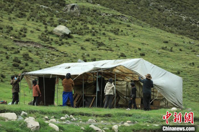 圖為牧民們在秋季牧場搭建帳篷?！÷蹇?攝