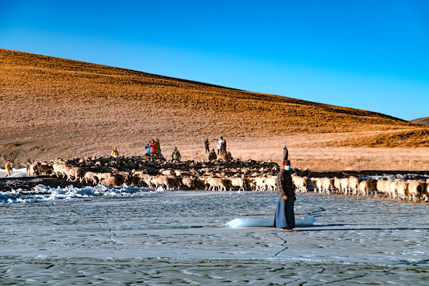 牧民趕著羊群，準(zhǔn)備通過(guò)冰面。 覃穎華攝