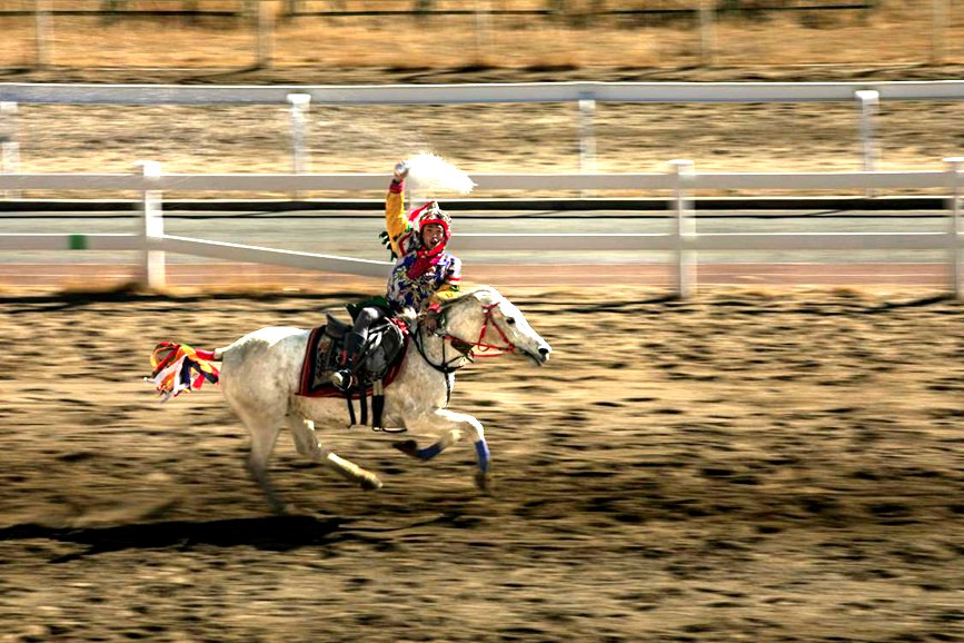 藏歷新年，精彩的馬術(shù)表演。張靜攝