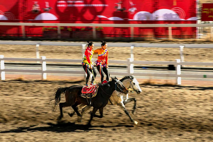 藏歷新年，精彩的馬術(shù)表演。張靜攝