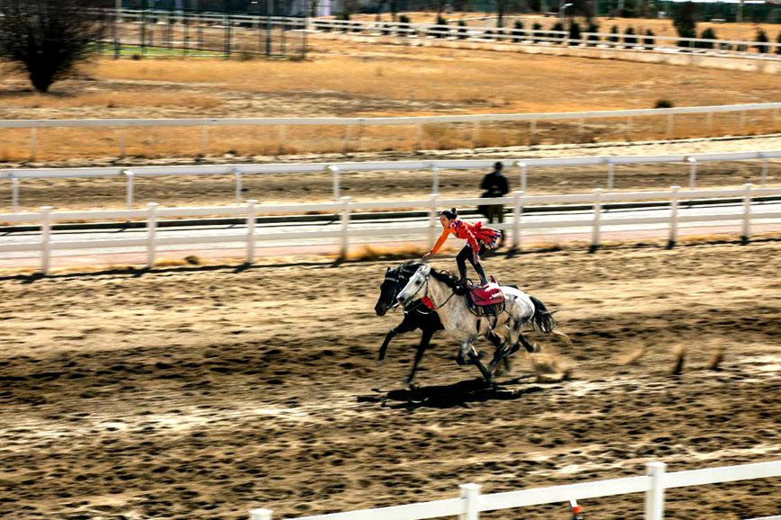 藏歷新年，精彩的馬術(shù)表演。張靜攝