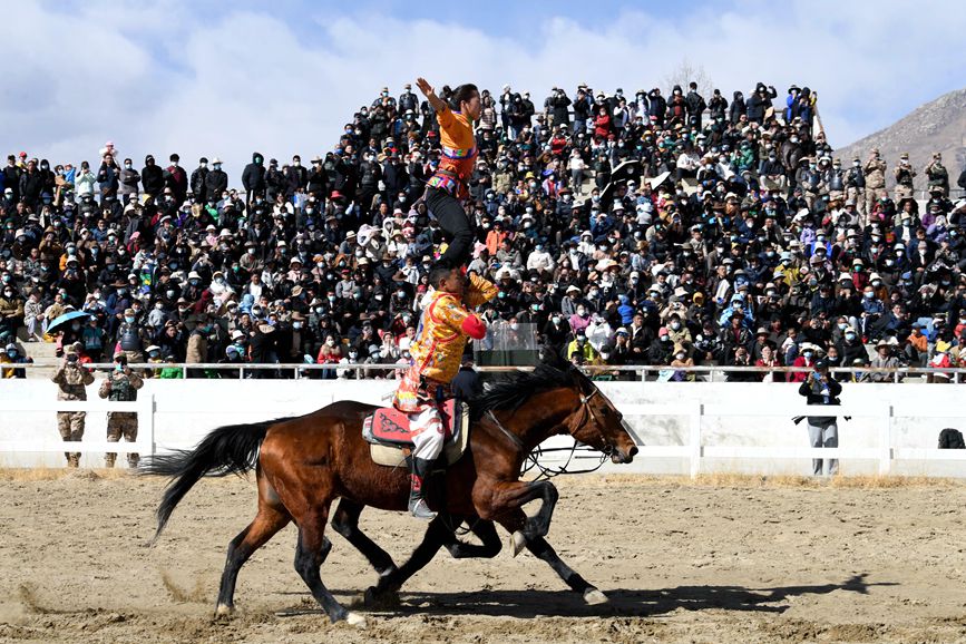 藏歷新年，精彩的馬術(shù)表演。潘多攝