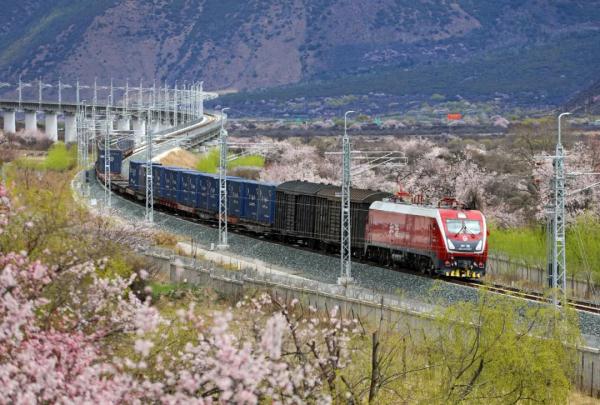 人間桃花源！林芝桃花有多絕？