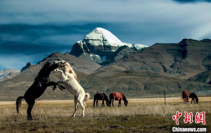 圖為參展攝影師拍攝的西藏阿里岡仁波齊?！≈鬓k方 供圖