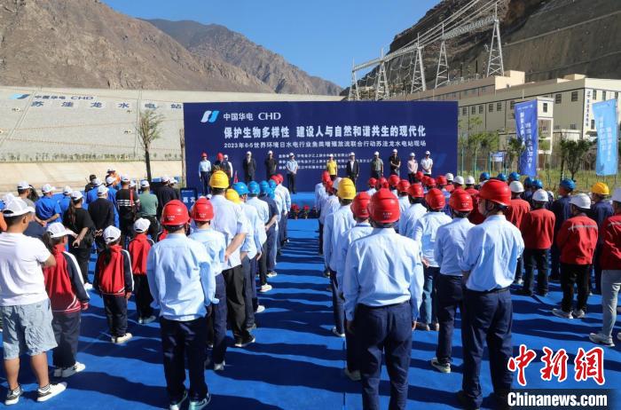 圖為蘇洼龍水電站魚類放流現(xiàn)場(chǎng)?！√K洼龍水電站供圖