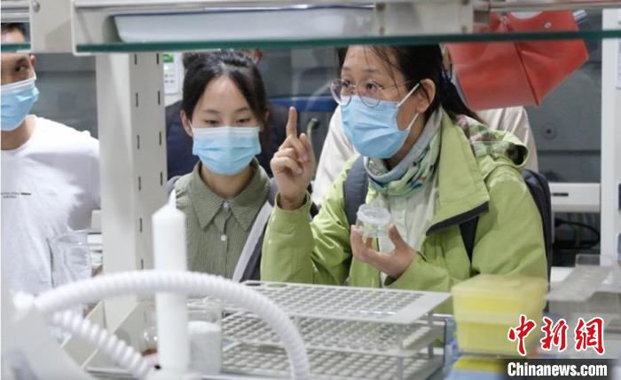 圖為西藏自治區(qū)市場監(jiān)督管理局舉辦2023年助力全區(qū)肉制品生產(chǎn)企業(yè)質量提升專題培訓班現(xiàn)場。　西藏自治區(qū)市場監(jiān)督管理局供圖