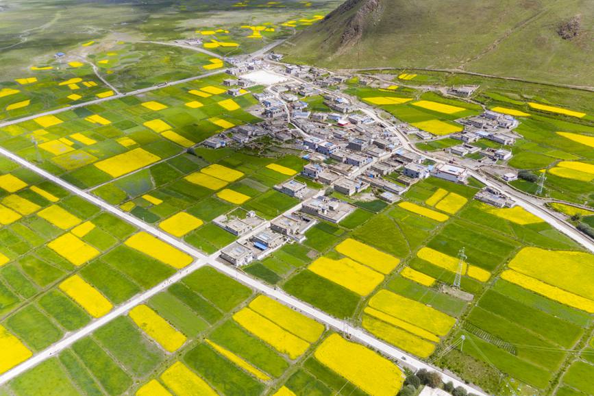 航拍道布龍村，依山傍水，阡陌縱橫。