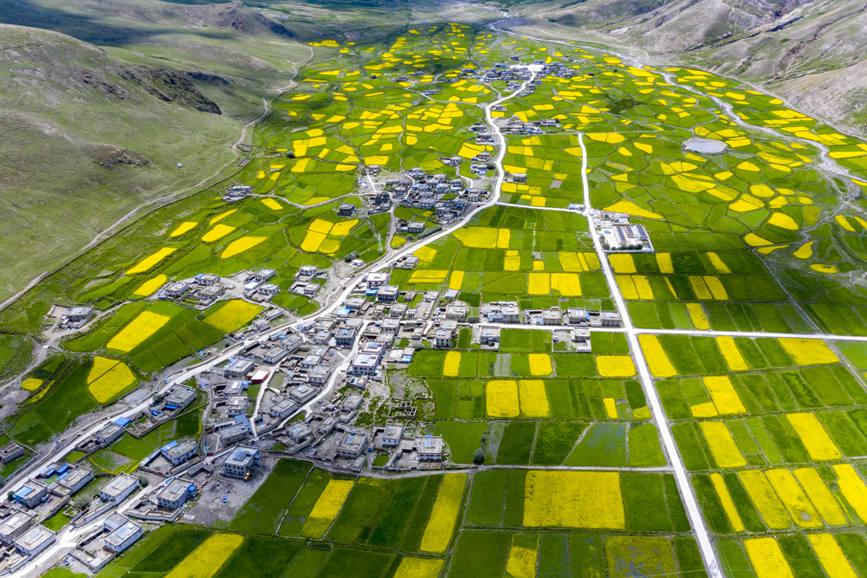 航拍道布龍村，依山傍水，阡陌縱橫。