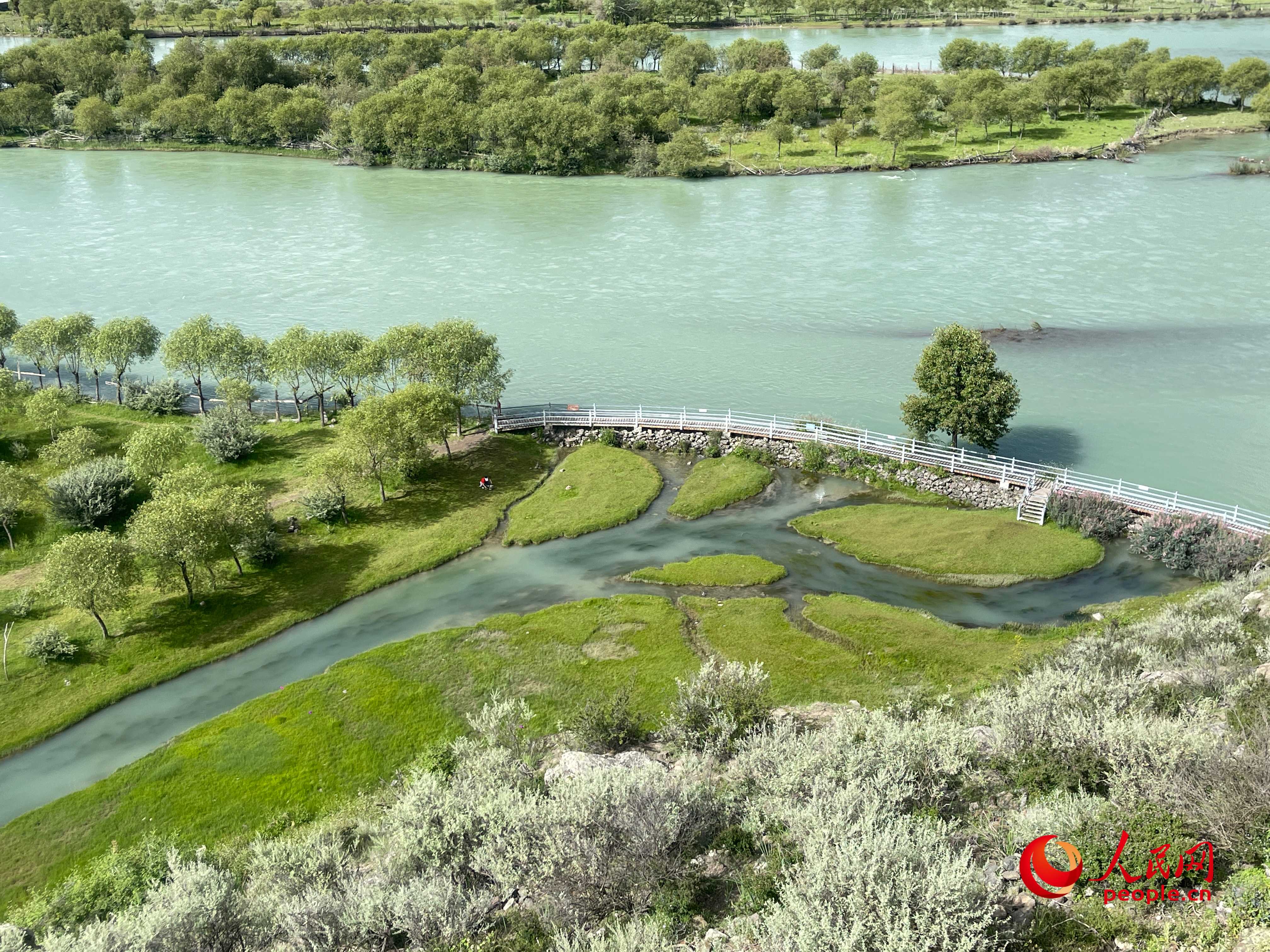 夏日的雅尼國家濕地公園生機盎然，如詩如畫。人民網 周靜圓攝