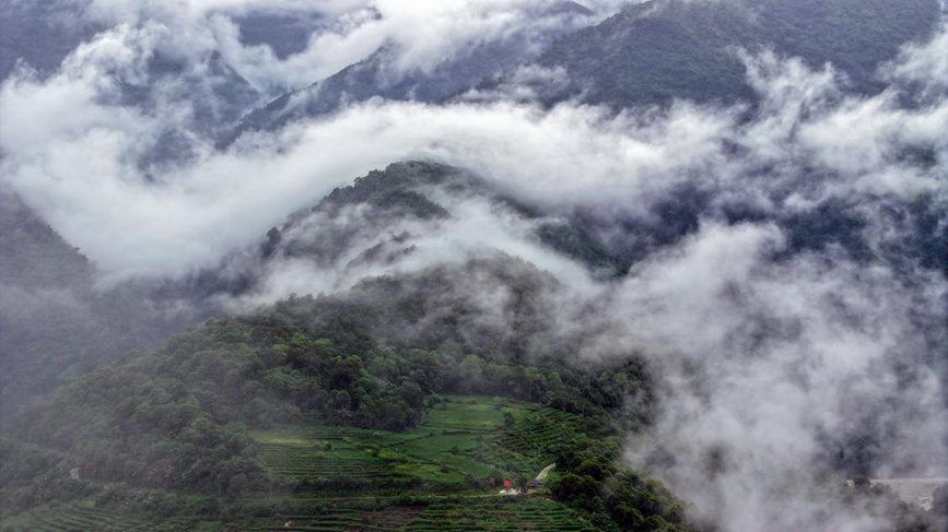 秋日里的墨脫云海。張澤坤攝