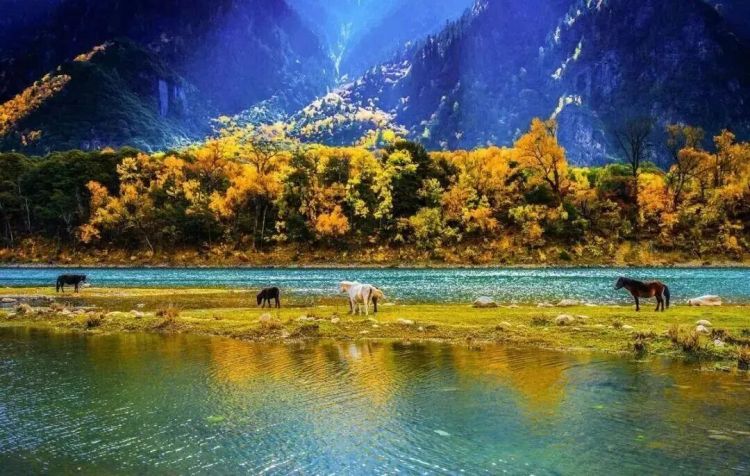 懂西藏的人，一定不會錯過林芝的秋天