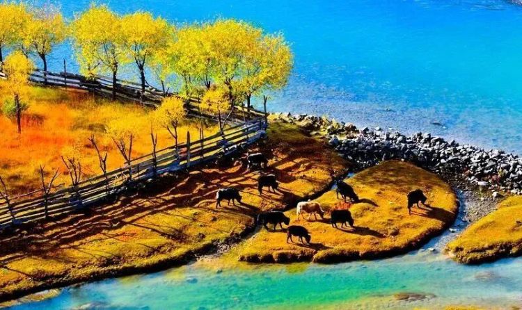 懂西藏的人，一定不會錯過林芝的秋天