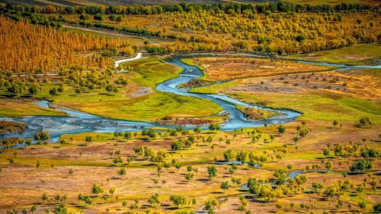 懂西藏的人，一定不會錯過林芝的秋天