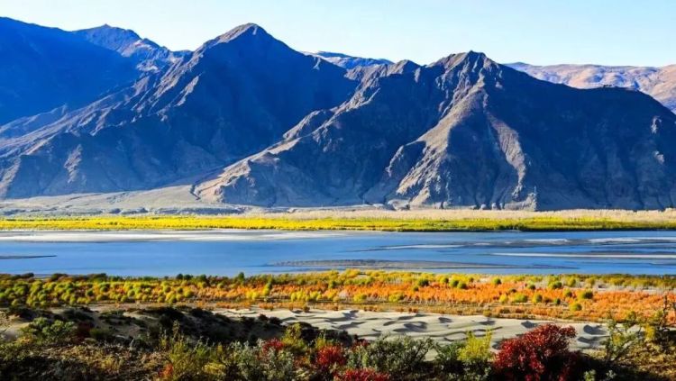 懂西藏的人，一定不會錯過林芝的秋天