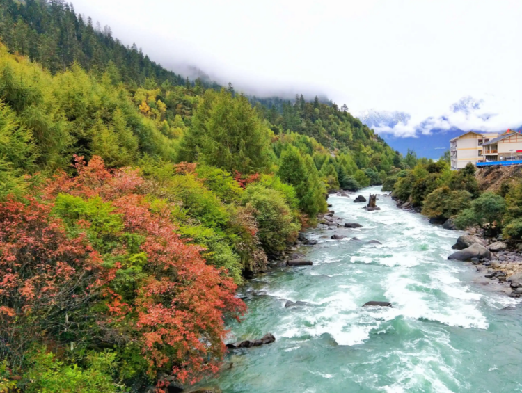 懂西藏的人，一定不會錯過林芝的秋天