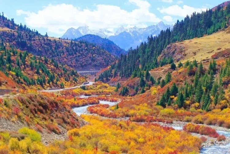 懂西藏的人，一定不會錯過林芝的秋天